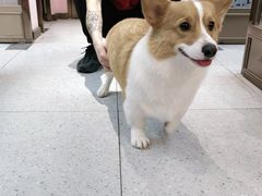 -FAELING PETS美天灵宠物(富力广场店)