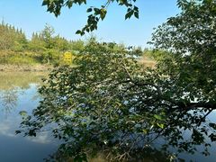 -金稼园·金平湖农家菜