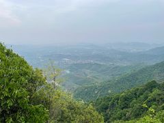 -午潮山国家森林公园