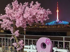 -轮渡红巷旅游码头