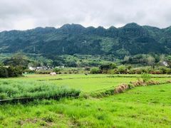 -黟县屏山村