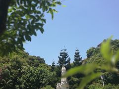 -金鸡山公园