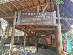 -海南槟榔谷黎苗文化旅游区