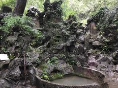 -龙井村