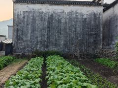 -绩溪龙川景区