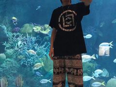 -暹罗海洋世界