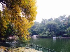-钓鱼台国宾馆