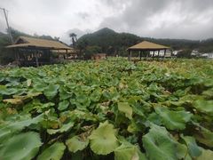 -小洞天柴火土菜馆