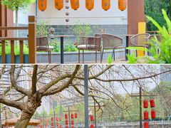 -成都市活水公园