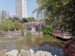 -郑和公园