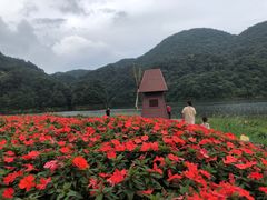 -广州市石门国家森林公园