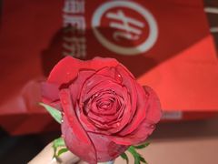 -海底捞火锅(龙岗星河COCO Park店)