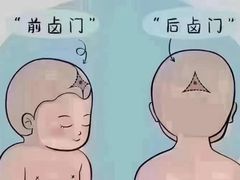 -爱月宝月嫂·育儿嫂(哈尔滨总店)