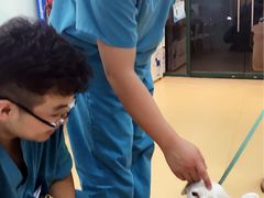 -瑞派·关忠动物医院·猫专科·犬专科(三环新城店)