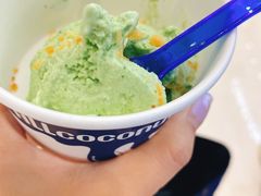 -蔻蔻椰·鲜萃椰子水(COCO Park店)