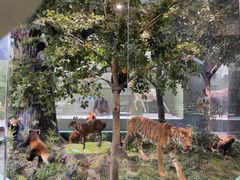 -国家自然博物馆