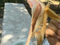 -洪记白水羊头(留学路店)