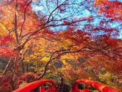 -少华山国家森林公园