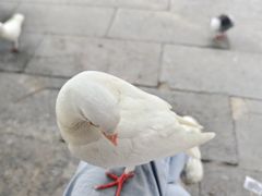 -中国翰园碑林