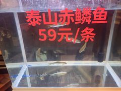 -巨鼎谭家菜(普照寺路店)