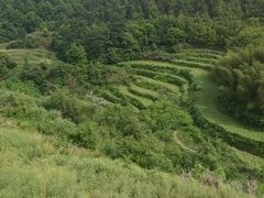 -灵山景区梯田