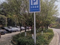 景点-铁山坪森林公园