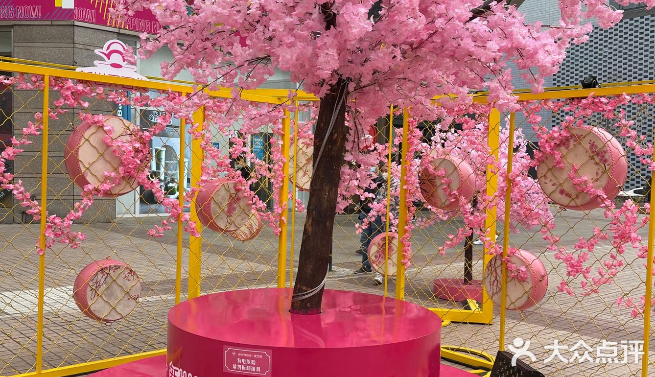 满树樱花朵朵开，花花世界的，出来逛街啊