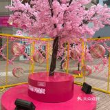 满树樱花朵朵开，花花世界的，出来逛街啊