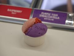 -Dal Cuore 达可芮冰淇淋(陕西北路店)