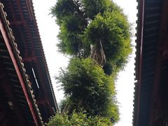 -叩齿古寺
