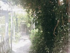 -小仙居·农家宴烤羊· 农庄