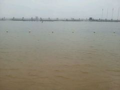 -碧海金沙