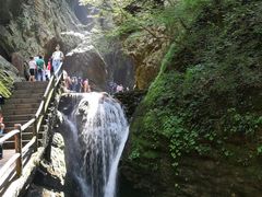 -牛背梁国家森林公园
