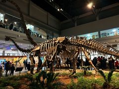 -自贡恐龙博物馆