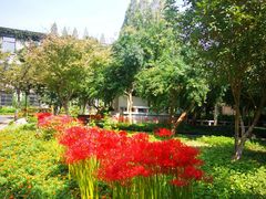 -东南大学(四牌楼校区)