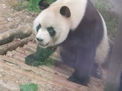 -黔灵山公园