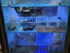 -皮蛋弟砂锅店(总店)