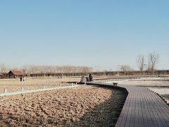 -永定河休闲森林公园