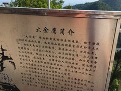 -大金鹰园