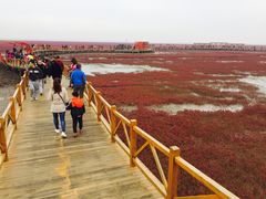 -红海滩国家风景廊道