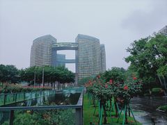 -钱江新城灯光秀