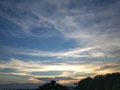 景点-合肥滨湖国家森林公园