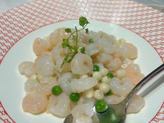 -圆苑(静安寺店)