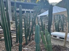 -MOJ coffee(瓯海泽雅水碓坑店)