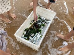 -青岛银沙滩