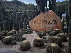 -深圳仙湖植物园