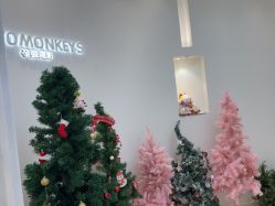 -Two  Monkeys 孕婴写真馆(龙华店)