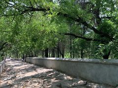 -阳台山自然风景区