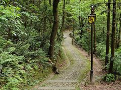 -方岩风景区