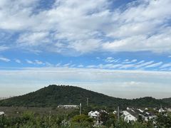 -树山生态村